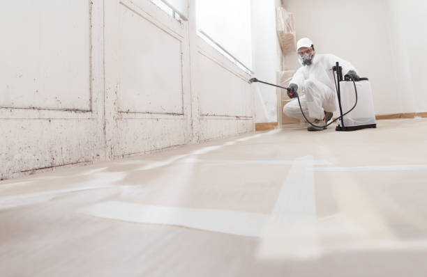 24/7 Emergency Mold Remediation experts in South Jacksonville, IL